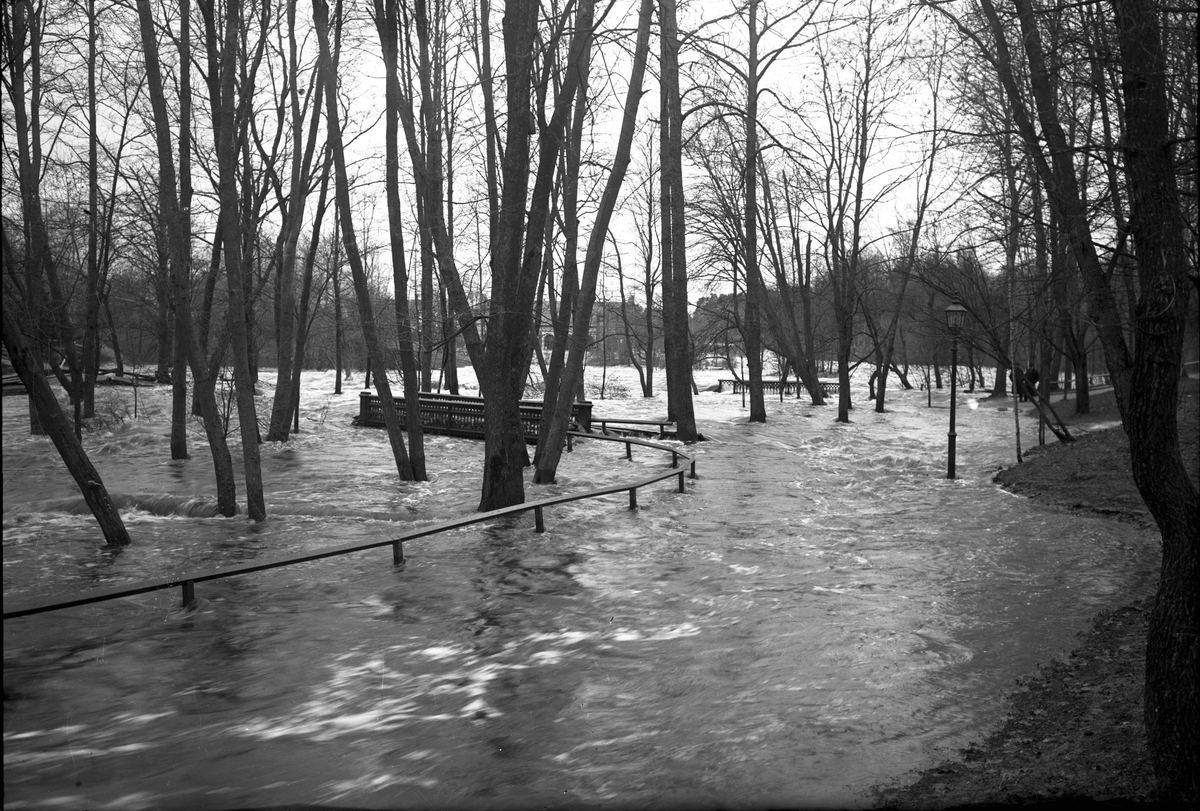 Oversvamning I Boulognerskogen Stadstradgarden I Gavle Eventuellt Ar 1916 Lansmuseet Gavleborg Digitaltmuseum