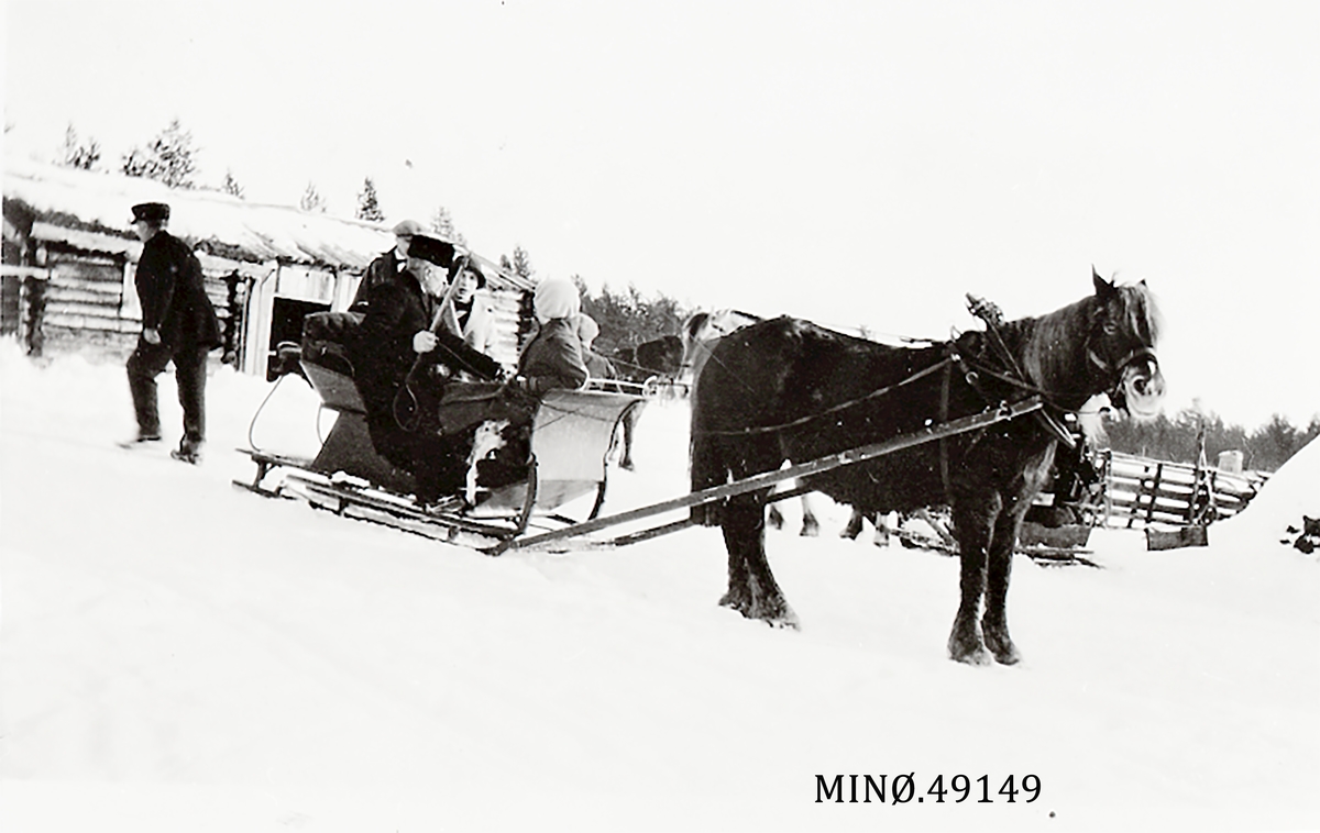 Hest Og Slede Menn Vinter Anno Musea I Nord Østerdalen Digitaltmuseum 