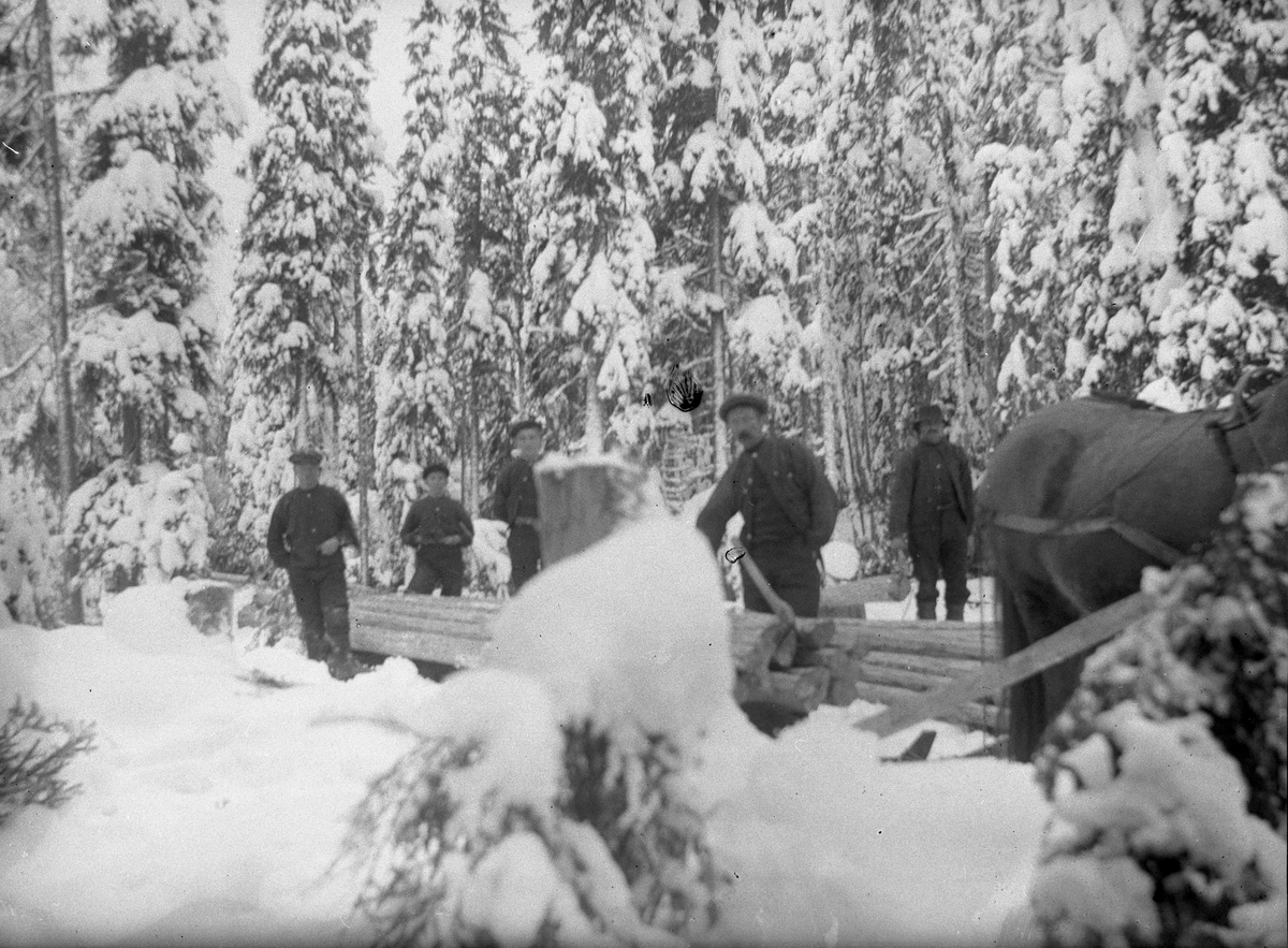 Menn med hest i skogen,tømmer.Vinter,snø. - Anno Glomdalsmuseet ...