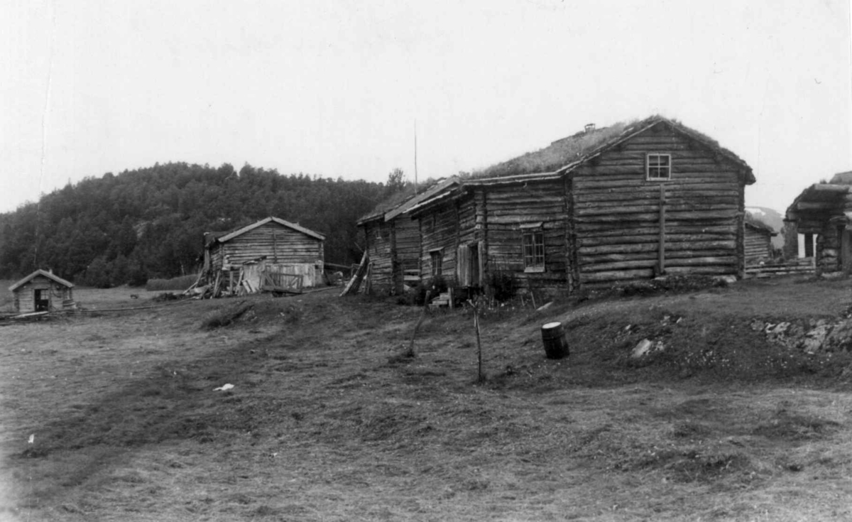 Ovre Hjartåsen - Norsk Folkemuseum / DigitaltMuseum